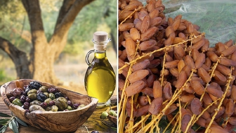 ضرورة النفاذ إلى أسواق صاعدة ذات كثافة سكانية..  "زيت الزيتون".. و"التمور" أنقذا الميزان الغذائي 